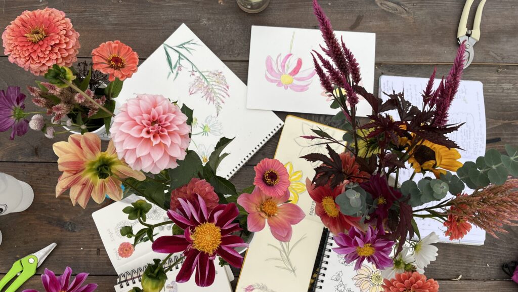 A creative tabletop scene featuring an arrangement of vibrant, fresh flowers, including dahlias, zinnias, and amaranth, in various shades of pink, orange, and red. The flowers are placed alongside open sketchbooks filled with botanical drawings, watercolor paintings, and detailed flower sketches. The wooden surface is scattered with art supplies, including pruning shears, pens, and notes, creating a cozy and artistic atmosphere.