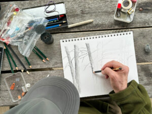 a man sketches a tree in a notebook